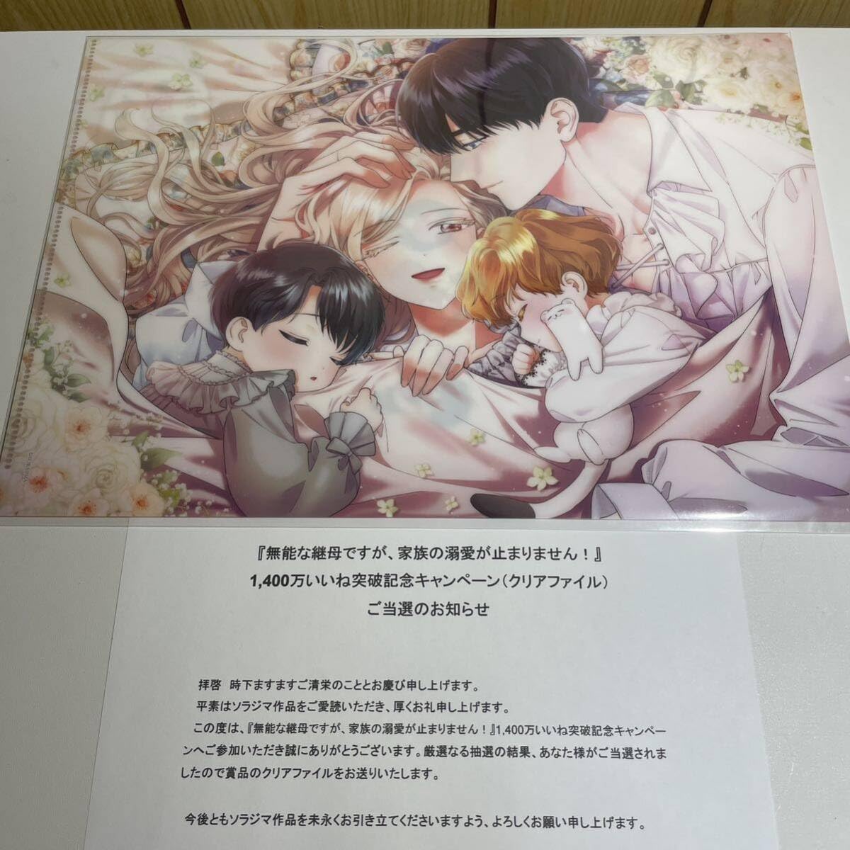 Amazon.co.jp: 無能な継母ですが 家族の溺愛が止まりません 当選